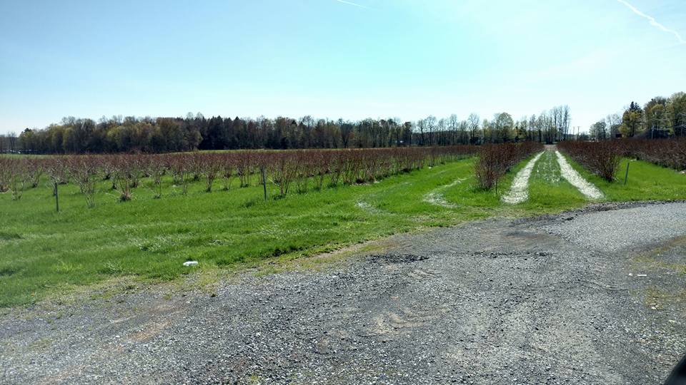 Please make sure to check left img